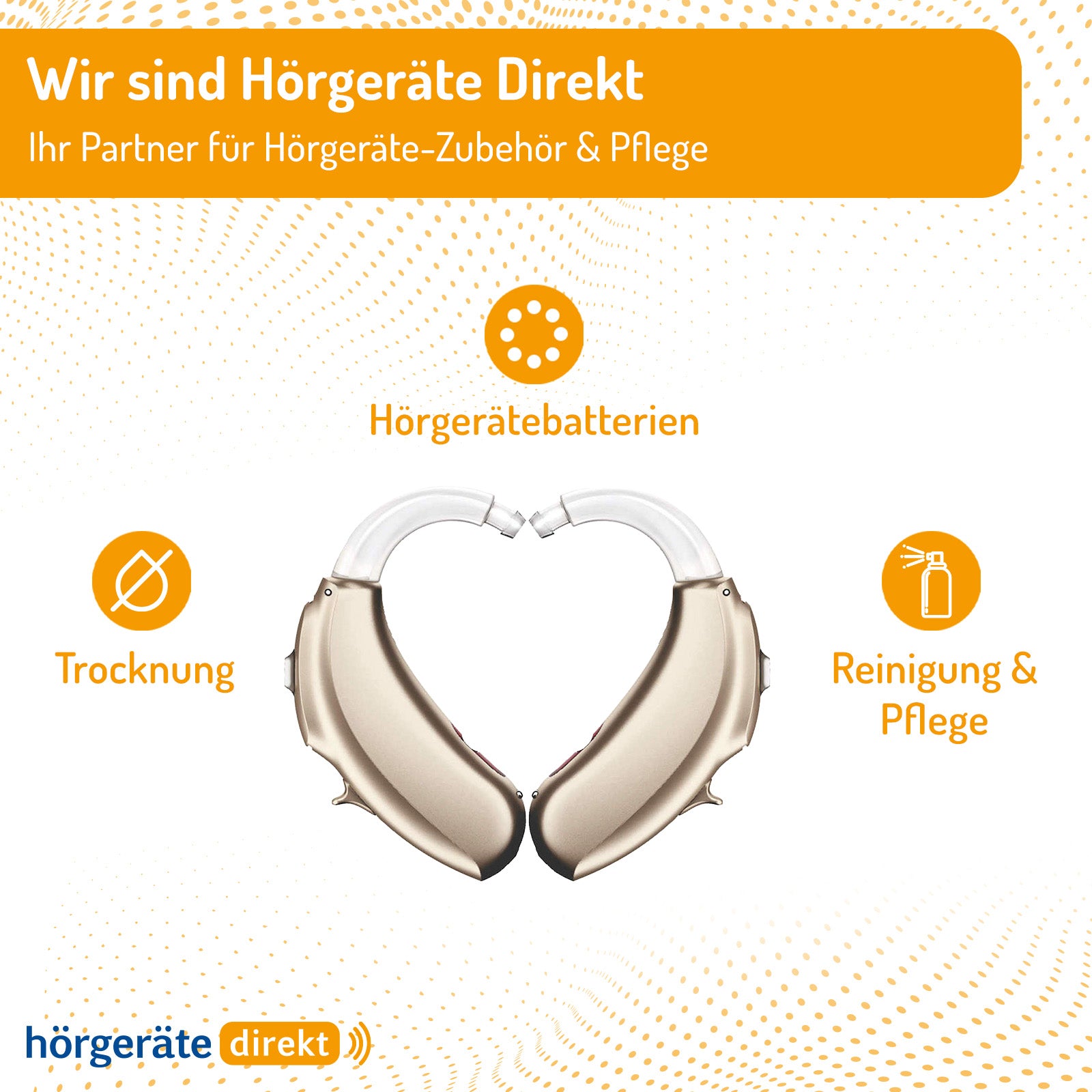 2x DIREKT Reinigungsspray 100 ml - für Hörgeräte &amp; Gehörschutz (2er Pack)