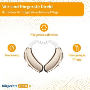2x DIREKT Reinigungsspray 100 ml - für Hörgeräte &amp; Gehörschutz (2er Pack)