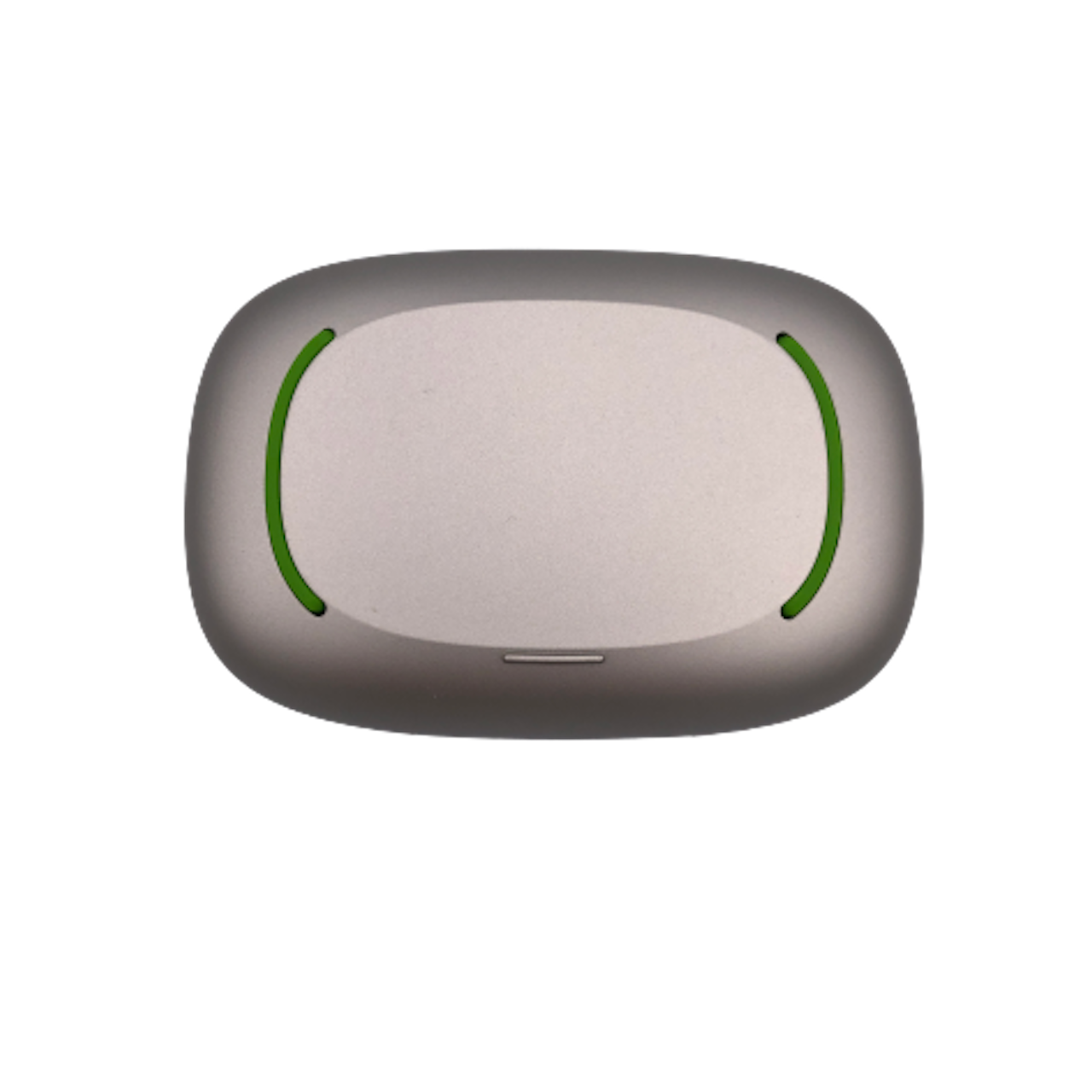 Phonak Hörgeräte Etui/Hardcase (large/groß)